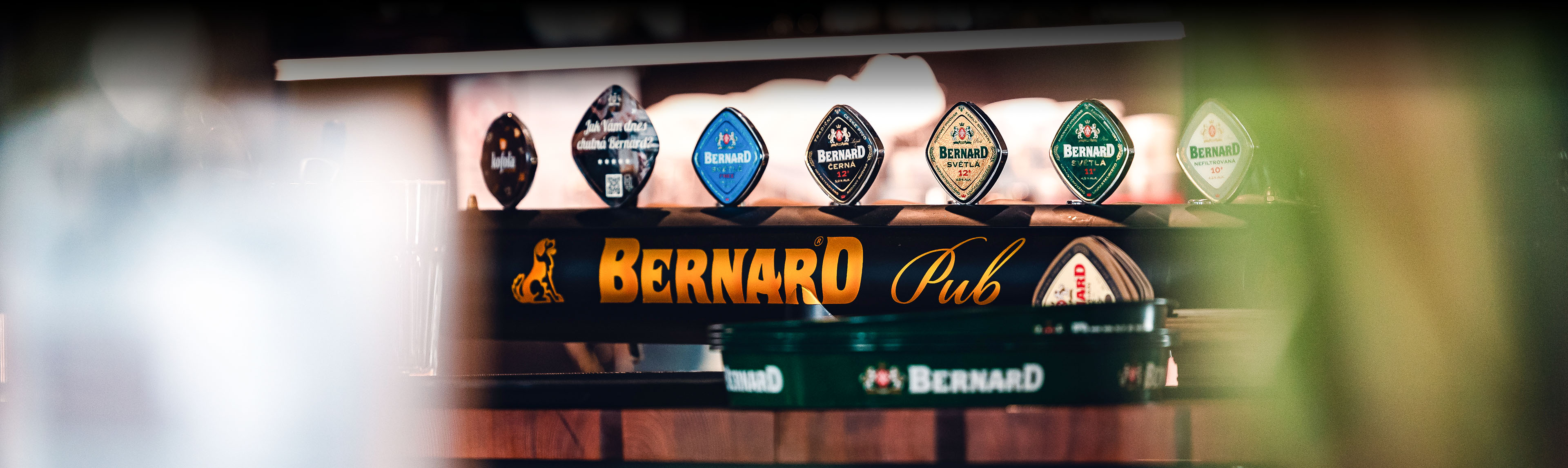 VERNOSTN&Yacute; PROGRAM

Bernard Pub Maladinovo
